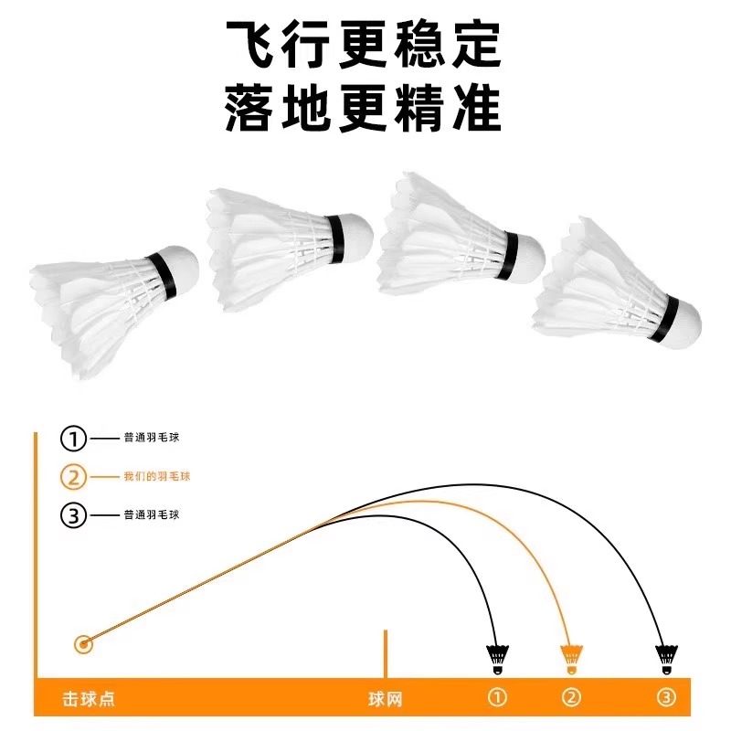 Lion Badminton Shuttlecock Goo - огляд і ціна Feather Shuttlecock